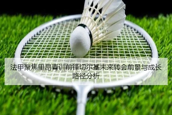 法甲聚焦里昂青训前锋切尔基未来转会前景与成长路径分析（kaiyun）